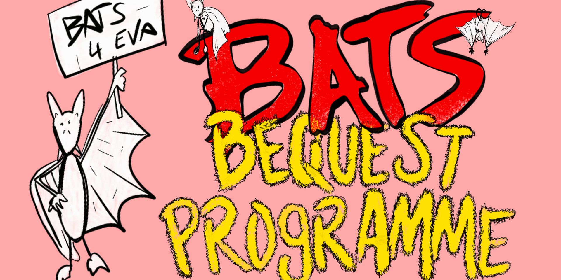 Bequest programme web banner.png