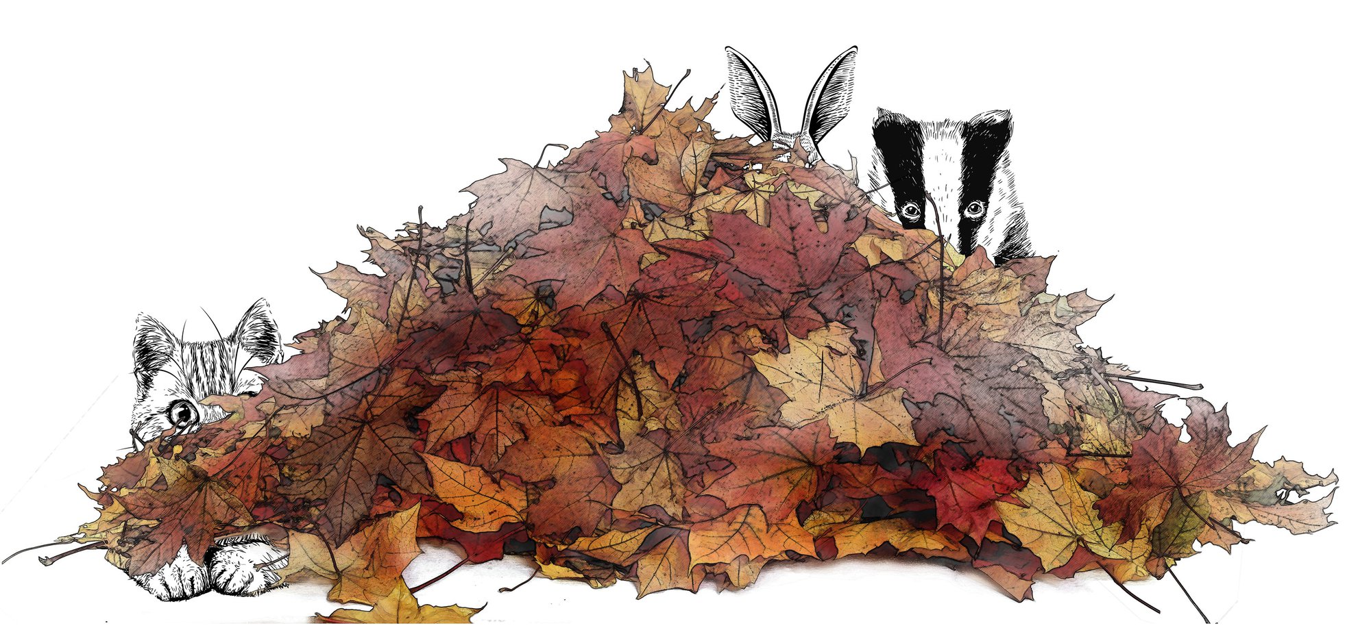An autumn pile of leaves sit in the foreground of white. From left to right there is a cat in the leaves, a rabbit and a Badger poking their ears and eyes over the leaves. They all have curious expressions.